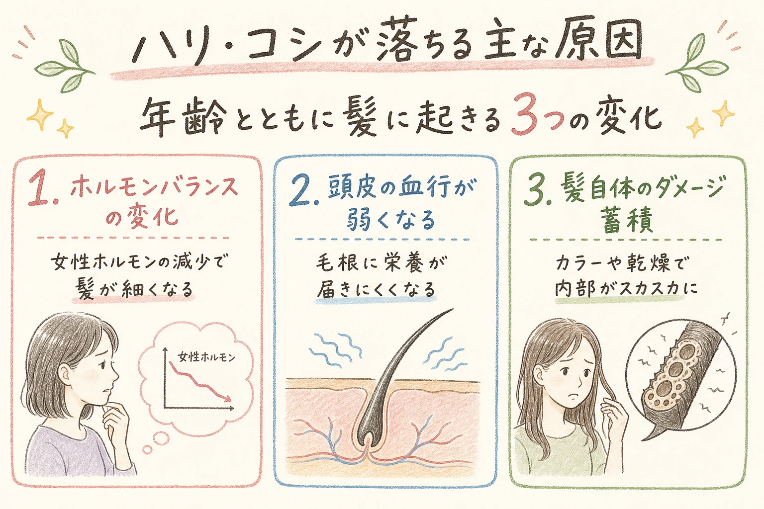 ハリ・コシが弱くなる主な原因を示す手書きイラスト風の本文図解