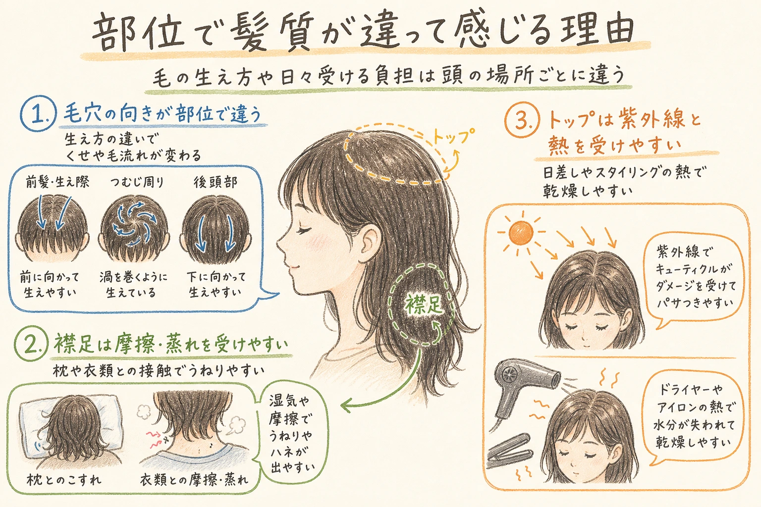 部位で髪質が違って感じる理由|毛の生え方や日々受ける負担は頭の場所ごとに違う