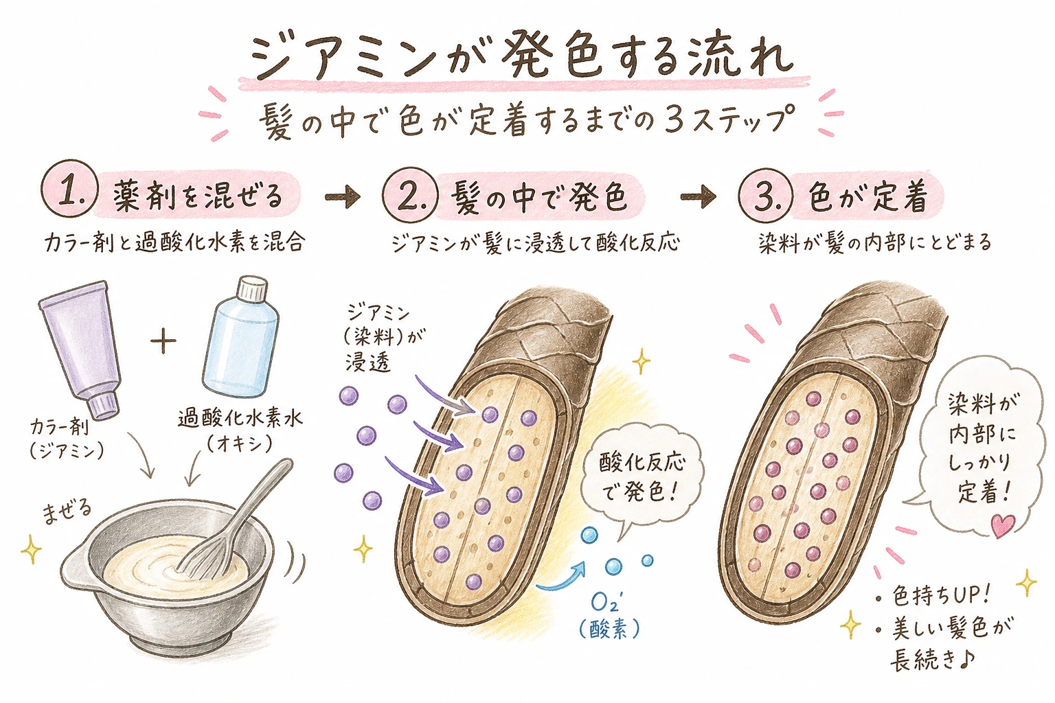 ジアミンが発色する流れ|髪の中で色が定着するまでの3ステップ