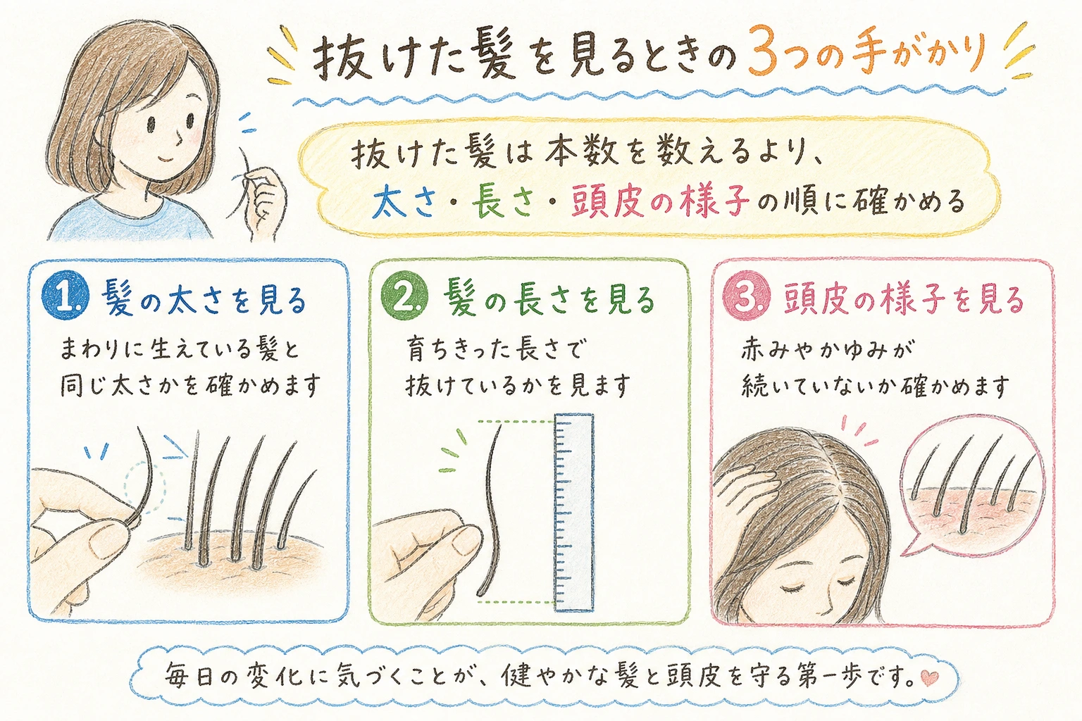 抜けた髪を見るときの3つの手がかり｜抜けた髪は本数を数えるより、太さ・長さ・頭皮の様子の順に確かめる