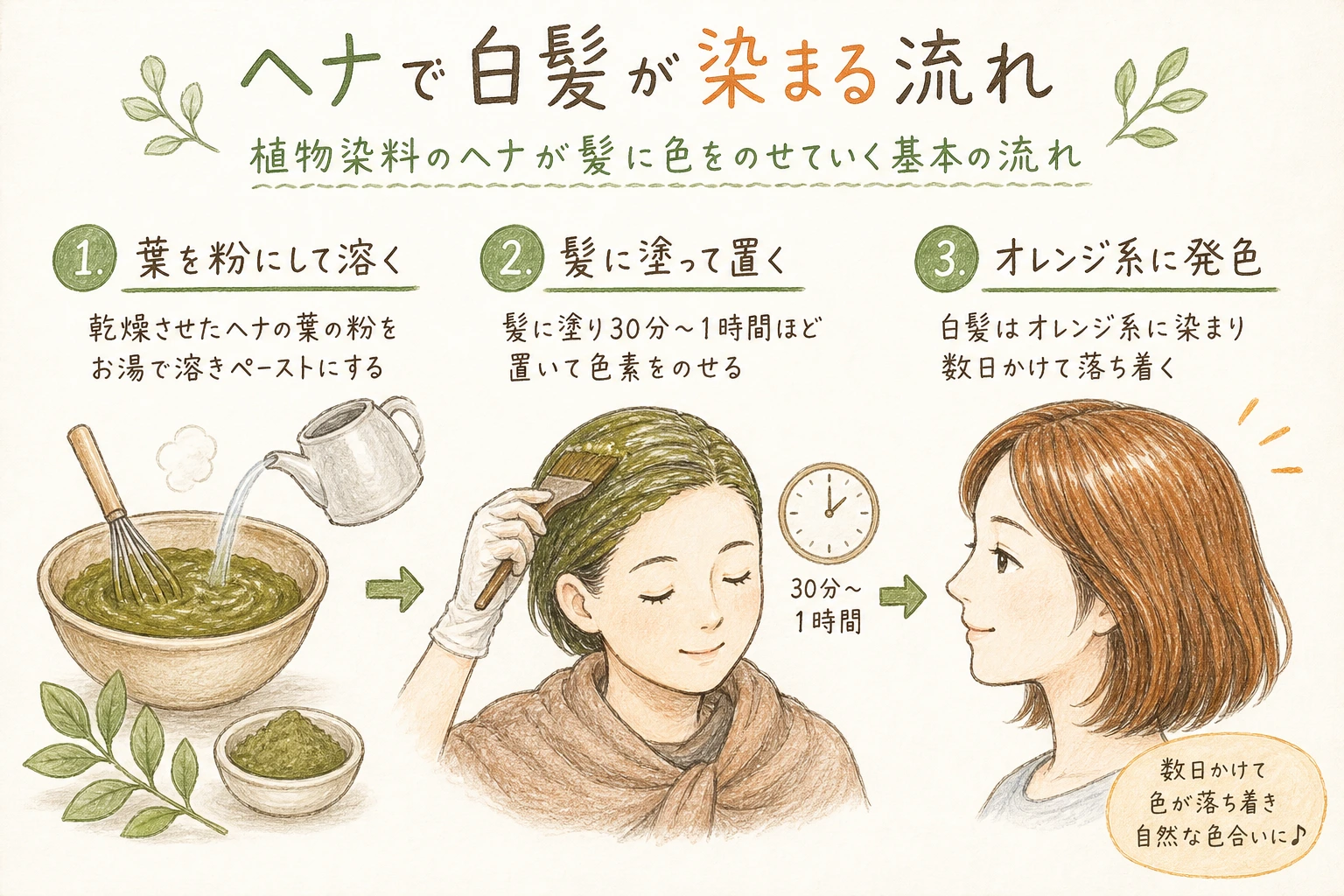 ヘナで白髪が染まる流れ|植物染料のヘナが髪に色をのせていく基本の流れ