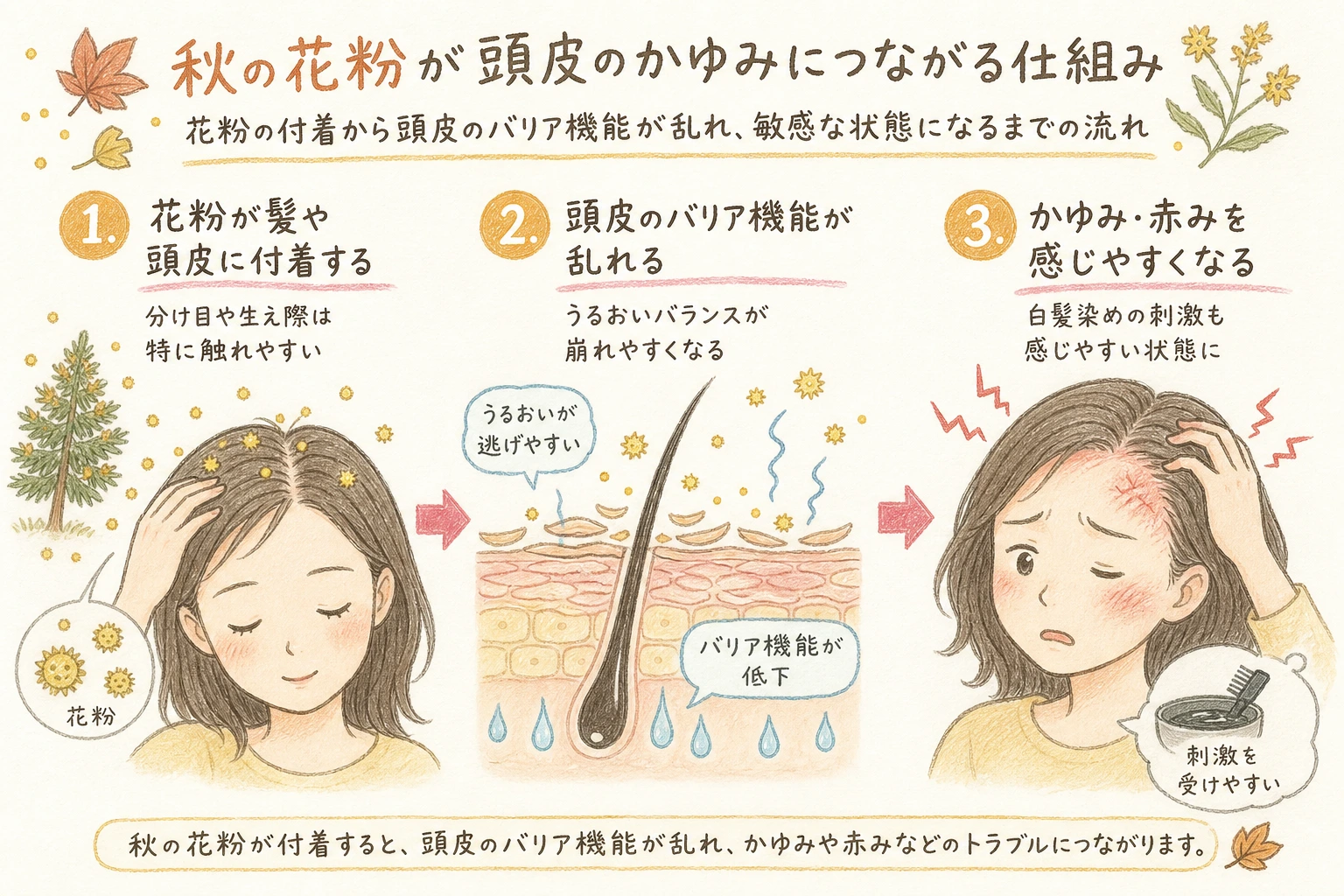 秋の花粉が頭皮のかゆみにつながる仕組み｜花粉の付着から頭皮のバリア機能が乱れ、敏感な状態になるまでの流れ