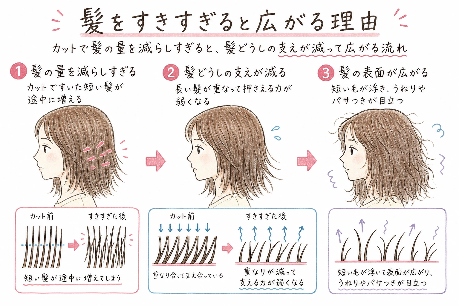 髪をすきすぎると広がる理由|カットで髪の量を減らしすぎると、髪どうしの支えが減って広がる流れ