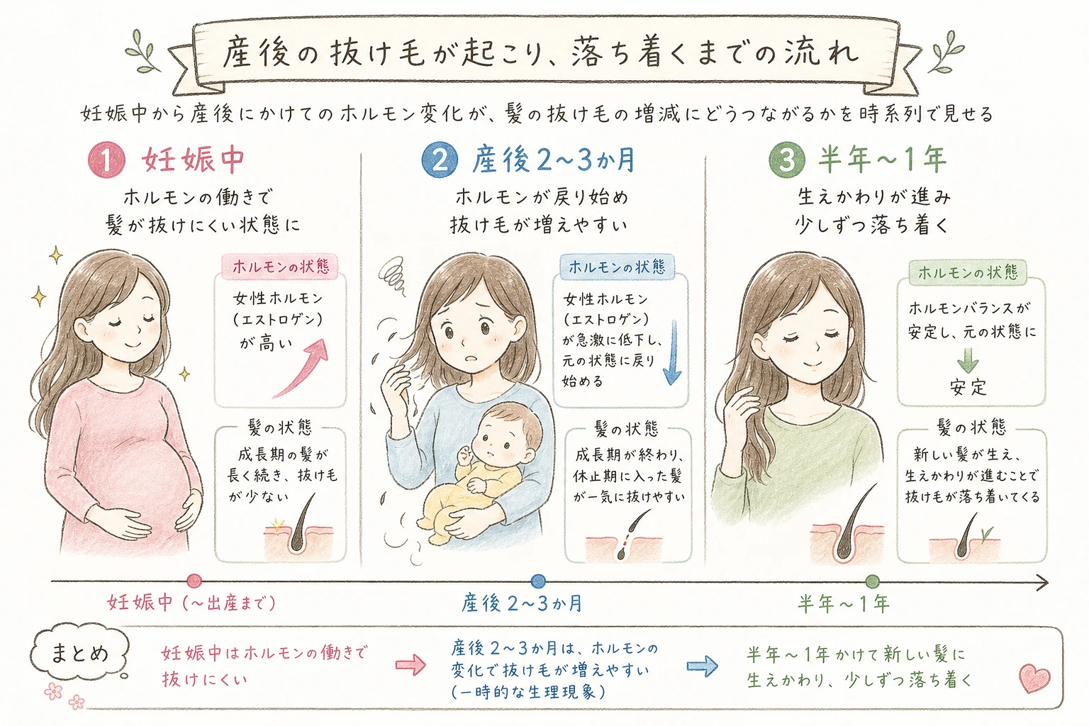 産後の抜け毛が起こり、落ち着くまでの流れ｜妊娠中から産後にかけてのホルモン変化が、髪の抜け毛の増減にどうつながるかを時系列で見せる