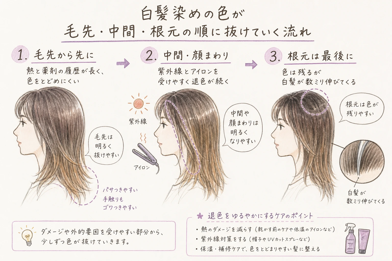 色は傷んだ場所から抜けます|白髪染めの色が毛先・中間・根元の順に抜けていく流れ