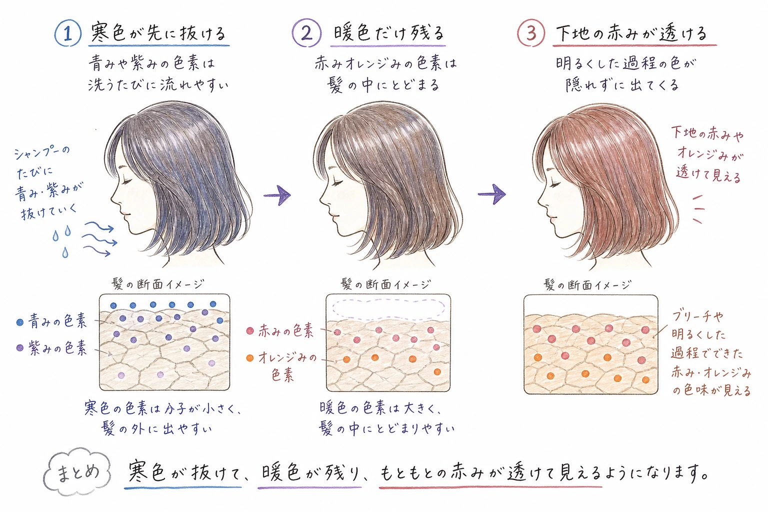 色は寒色から先に抜けます|白髪染めの色素が抜けて赤みが見えてくるまでの流れ