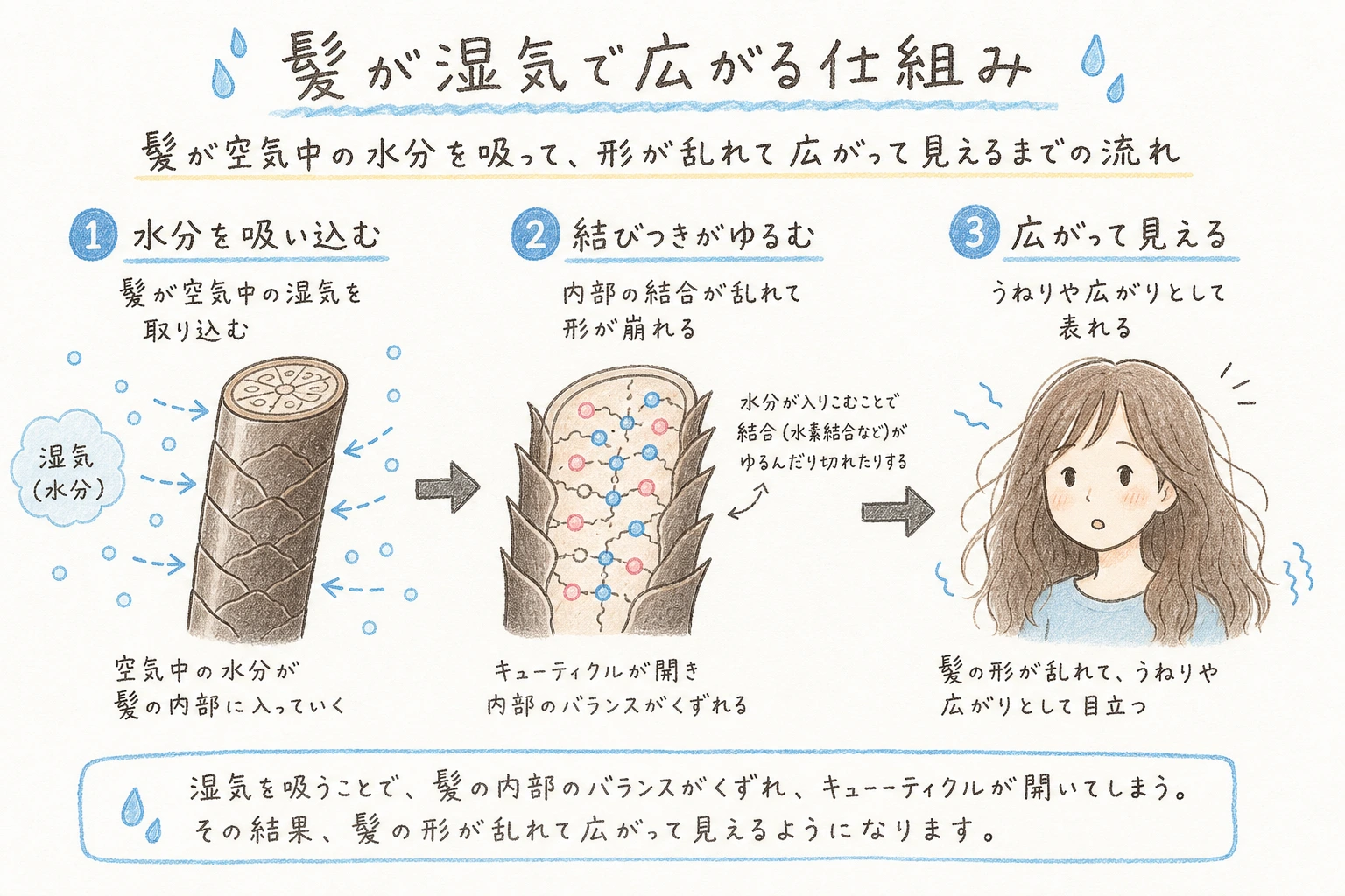 髪が湿気で広がる仕組み|髪が空気中の水分を吸って、形が乱れて広がって見えるまでの流れ