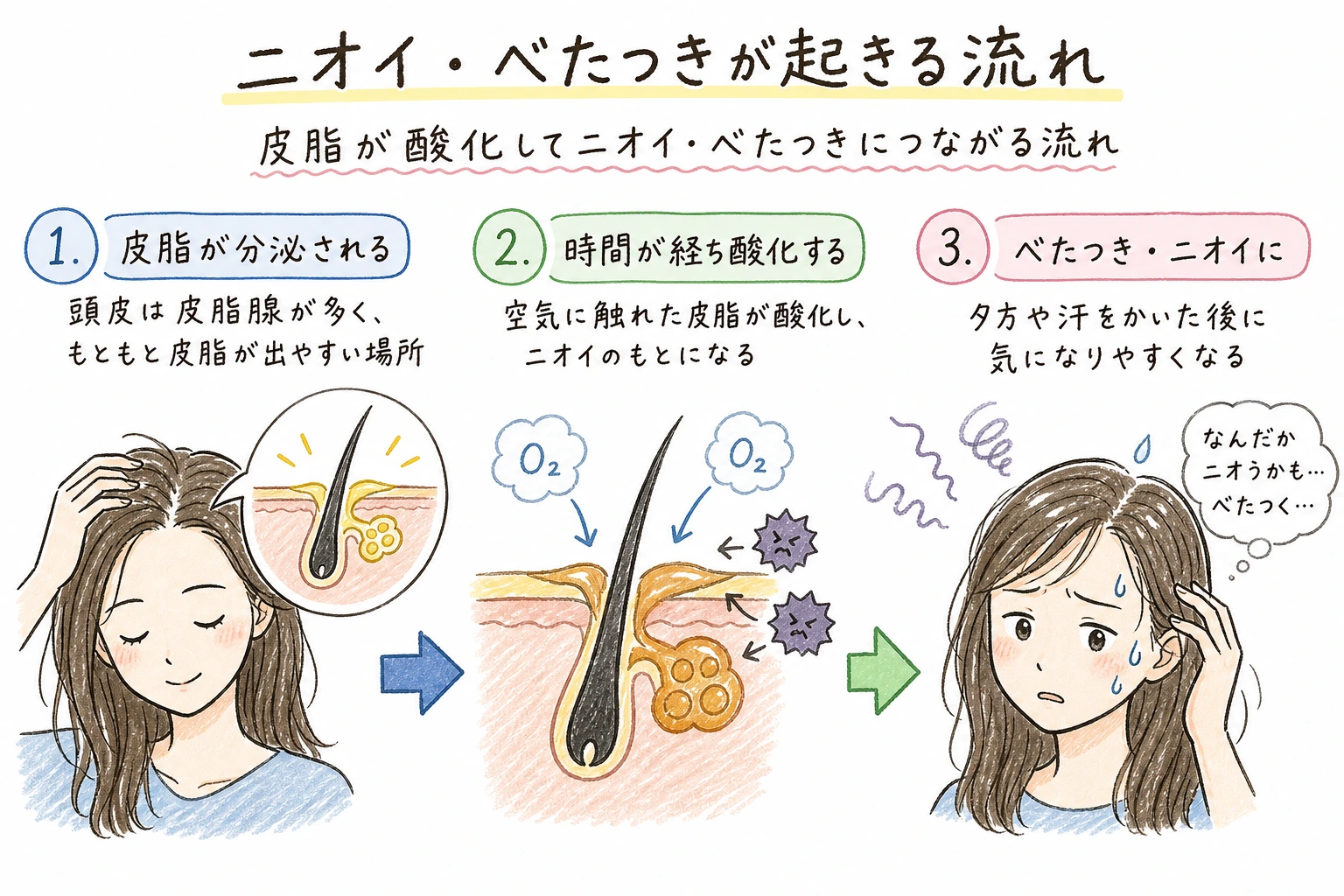 白髪の悩みに関する手書きイラスト風の本文図解